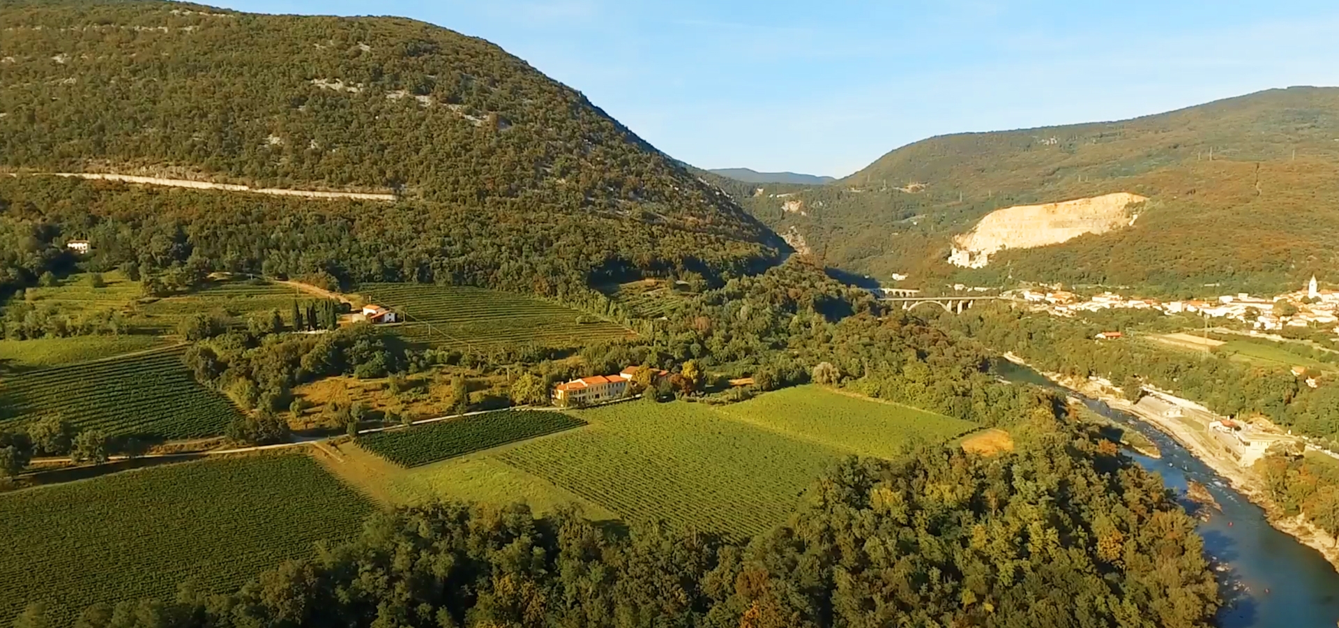 I vigneti della tenuta
