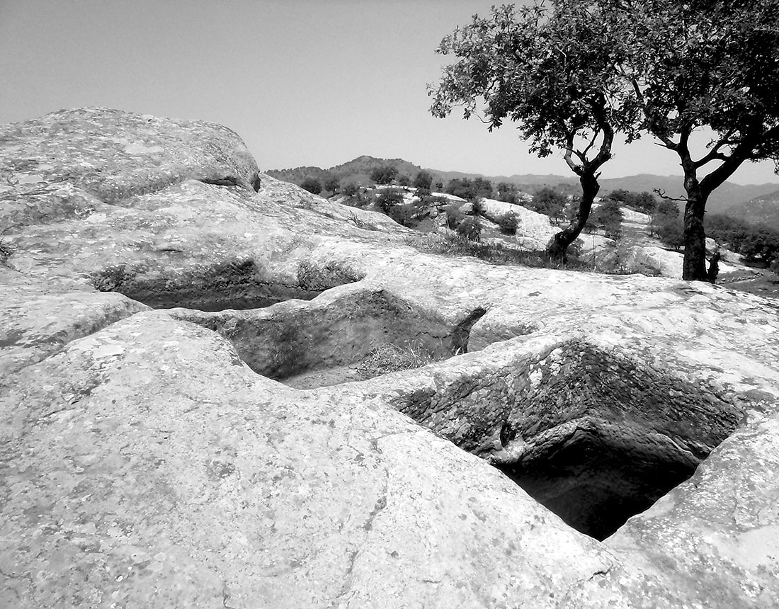 Palmenti scavati nella roccia in Calabria, antiche vasche per la pigiatura dell’uva