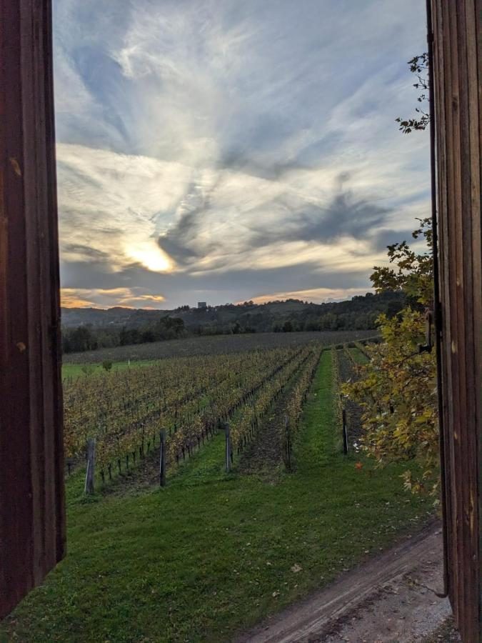 Dalla finestra di una camera: i filari dei vigneti al tramonto