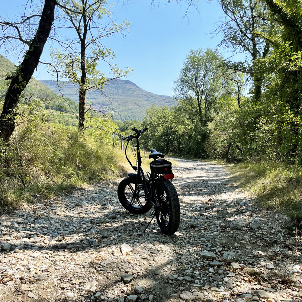 Una bicicletta su una strada sterrata tra gli alberi, con il Monte Sabotino sullo sfondo