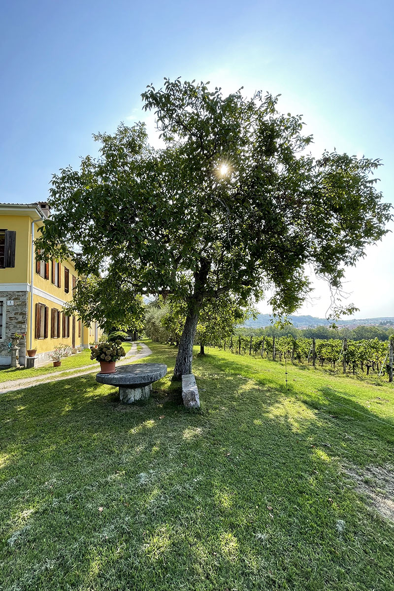 Estate