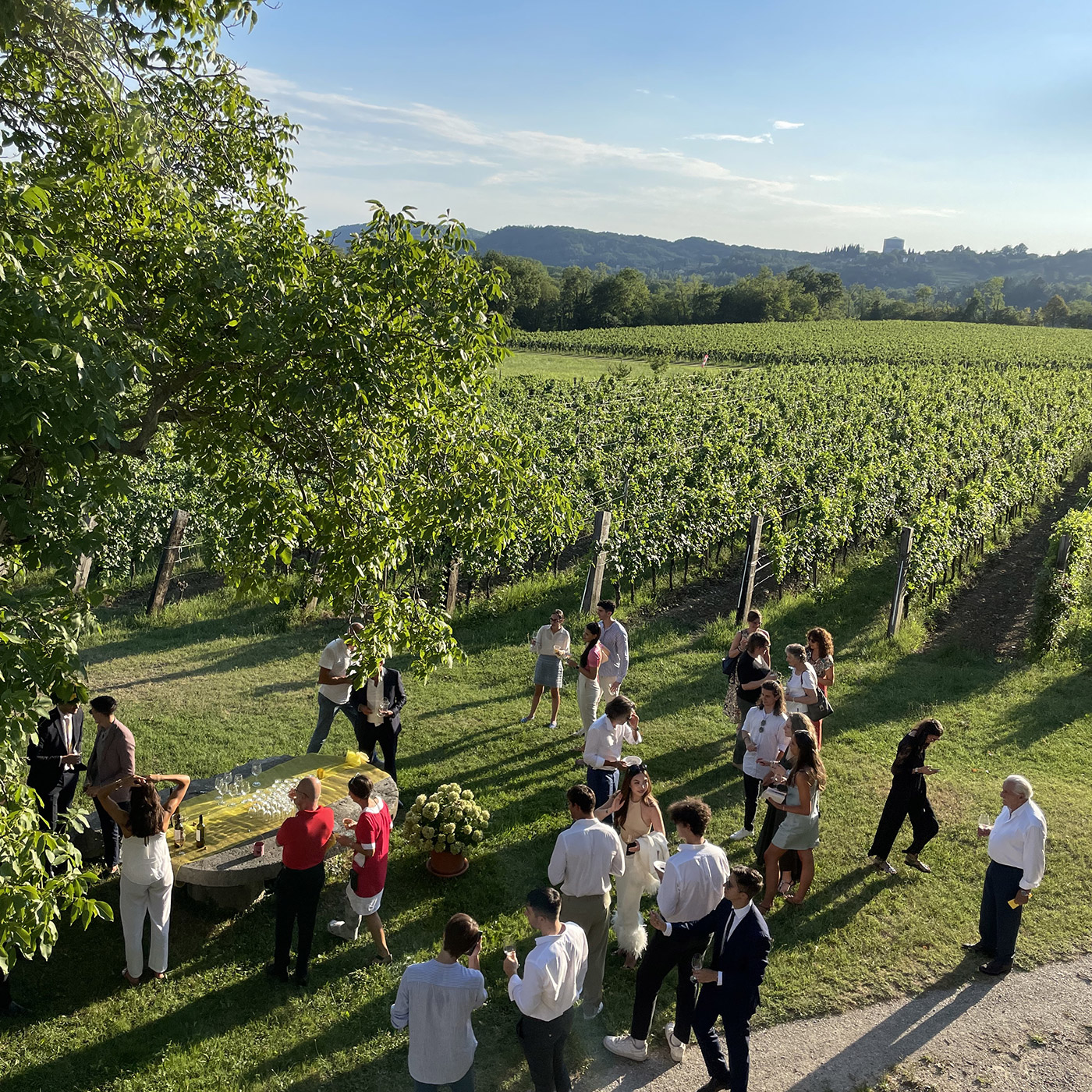 Ospiti in piedi sul prato accanto ai vigneti di Castel San Mauro, al tramonto