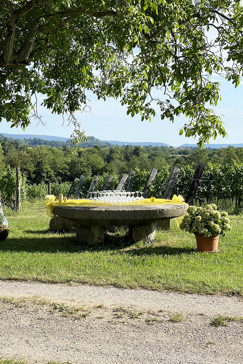 Un tavolo di pietra sotto un albero, con la vista sui vigneti