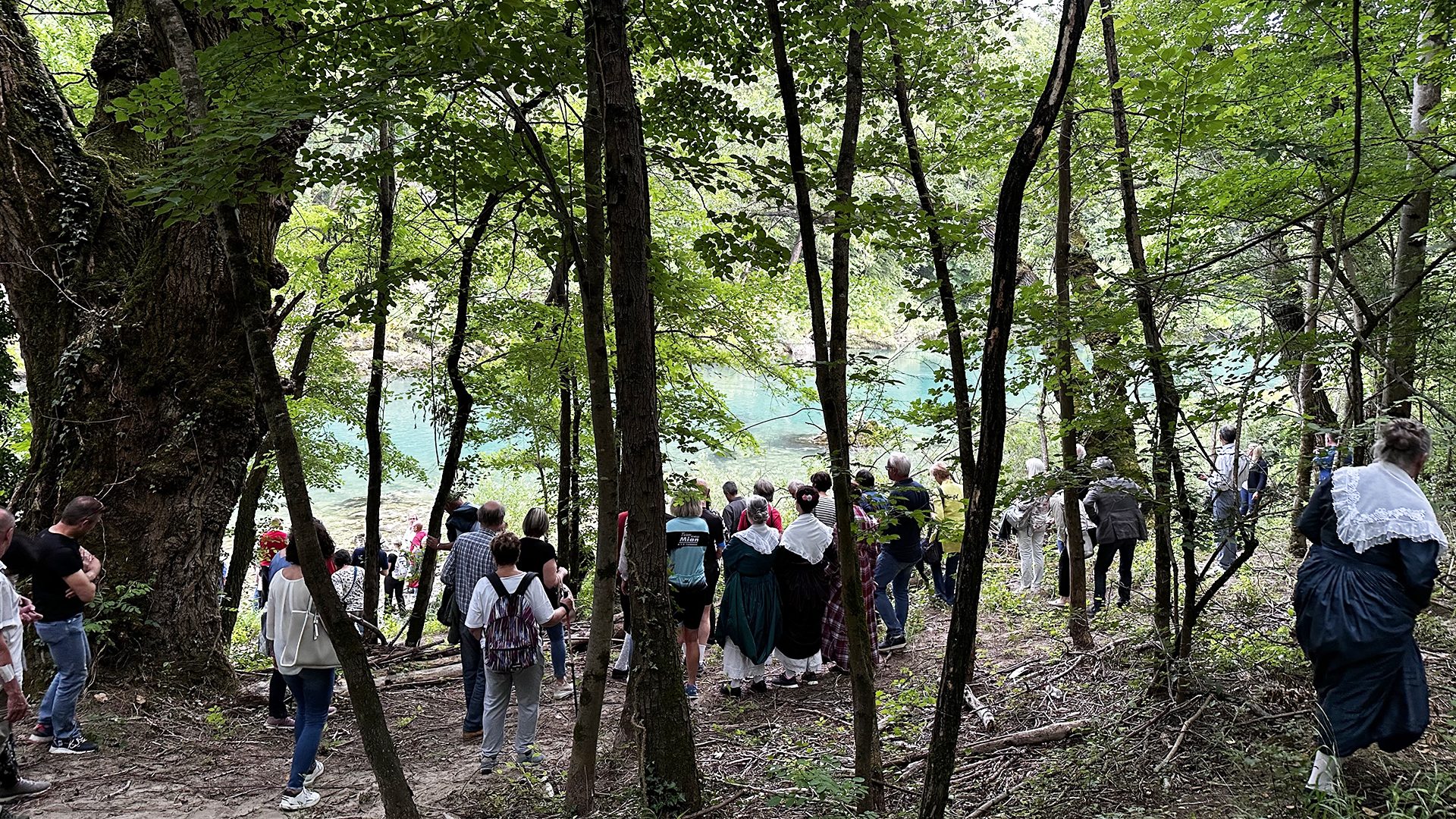 Il sentiero nel bosco che scende verso il fiume