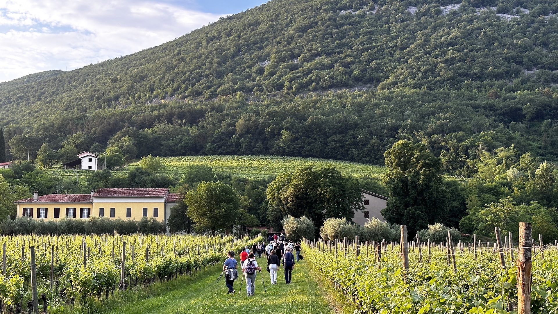 Escursionisti tra i vigneti, verso la villa di Castel San Mauro