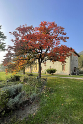 Castel San Mauro