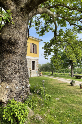 Castel San Mauro